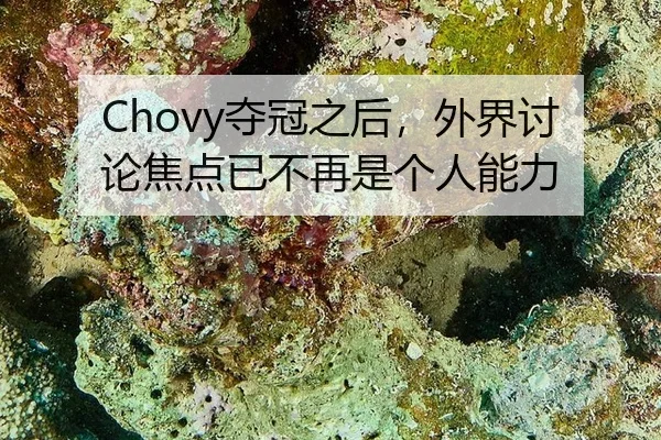 Chovy夺冠之后，外界讨论焦点已不再是个人能力